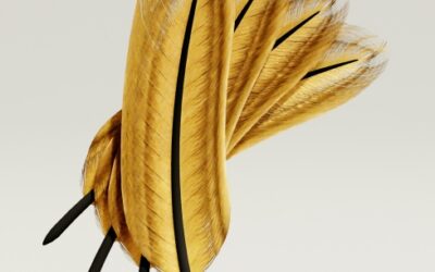 nicht das passende gefunden?